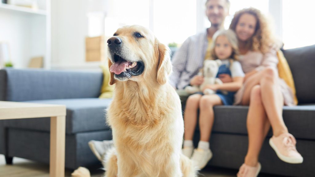Family on sofa with dog in front focus